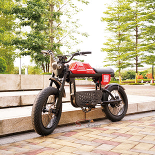 USA Warehouse FT-01 1500W 52V 27Ah Off Road Ebike Electric City Bike Fast Delivery