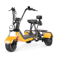 MINI-5 800W 48V 12Ah Battery Citycoco Scooter 3 Wheel Motorcycle