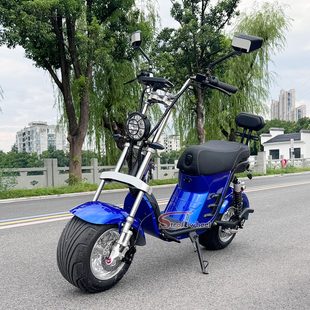 X21-E Strollwheel Citycoco Mini Chopper Scooter 2000W Motor 60V for Brazil Market