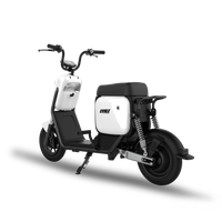 LUQI Q3 1000W Motor 48V 20AH Battery Electric Motorcycle Citycoco