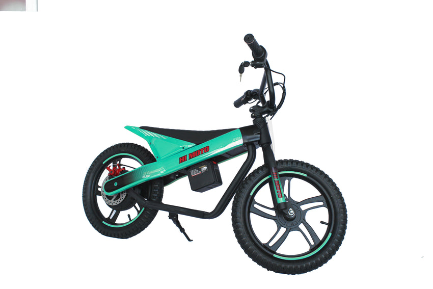 ET-01 Max 300W 24V 6AH Battery 2 Wheel Citycoco Electric Scooter Bicycle