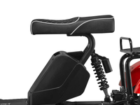 LUQI LQ3.1 1000W 60V 25AH Electric Tricycle Citycoco