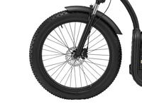 LUQI L2 500W 48V 20AH Battery Electric Bike Citycoco