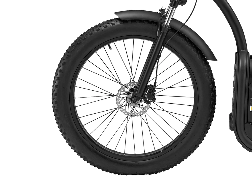 LUQI L2 500W 48V 20AH Battery Electric Bike Citycoco
