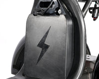 CP-7 Powerful 4000W Motor Citycoco Electric Tricycle Trike