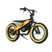 ET-03 800W 36V 15AH Battery Citycoco Electric Scooter 2 Wheel