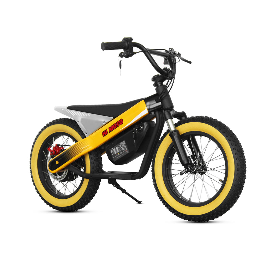ET-03 800W 36V 15AH Battery Citycoco Electric Scooter 2 Wheel
