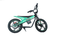 ET-01 Max 300W 24V 6AH Battery 2 Wheel Citycoco Electric Scooter Bicycle