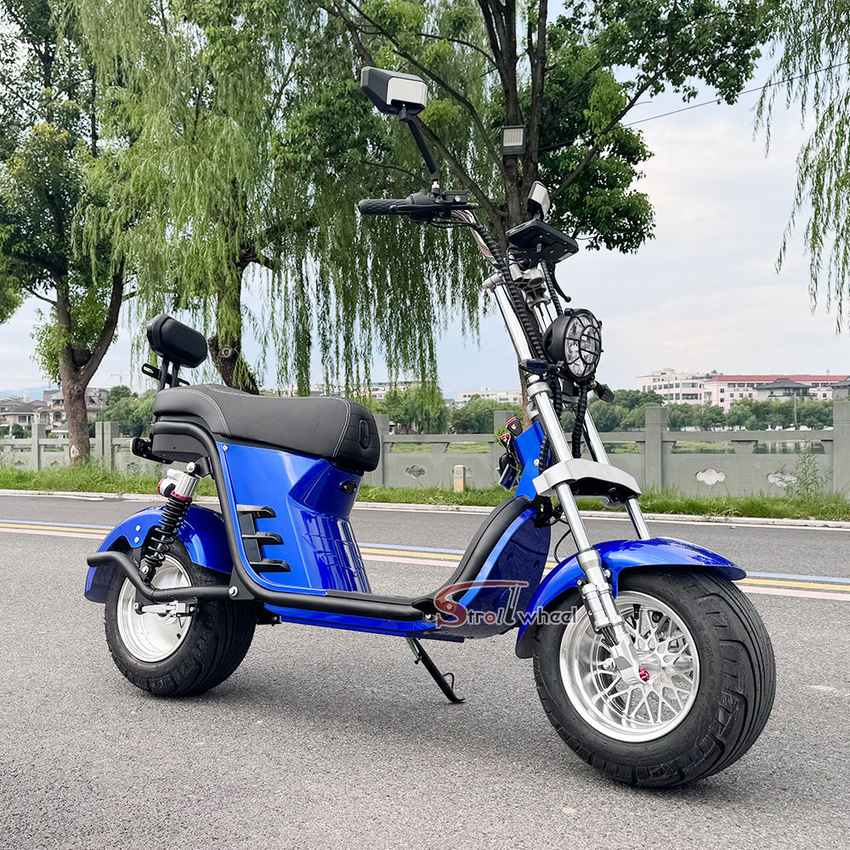 X21-E Strollwheel Citycoco Mini Chopper Scooter 2000W Motor 60V for Brazil Market