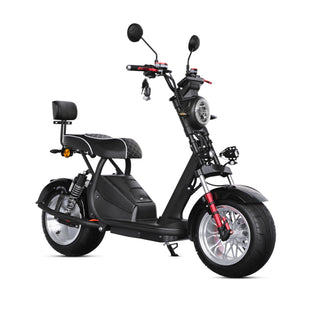 M5(X16) Strollwheel Citycoco Scooter 2 Wheel Mini Chopper with 2000W 60V 12AH Battery