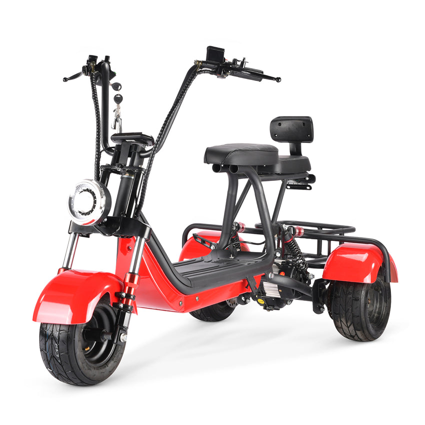 MINI-5 800W 48V 12Ah Battery Citycoco Scooter 3 Wheel Motorcycle