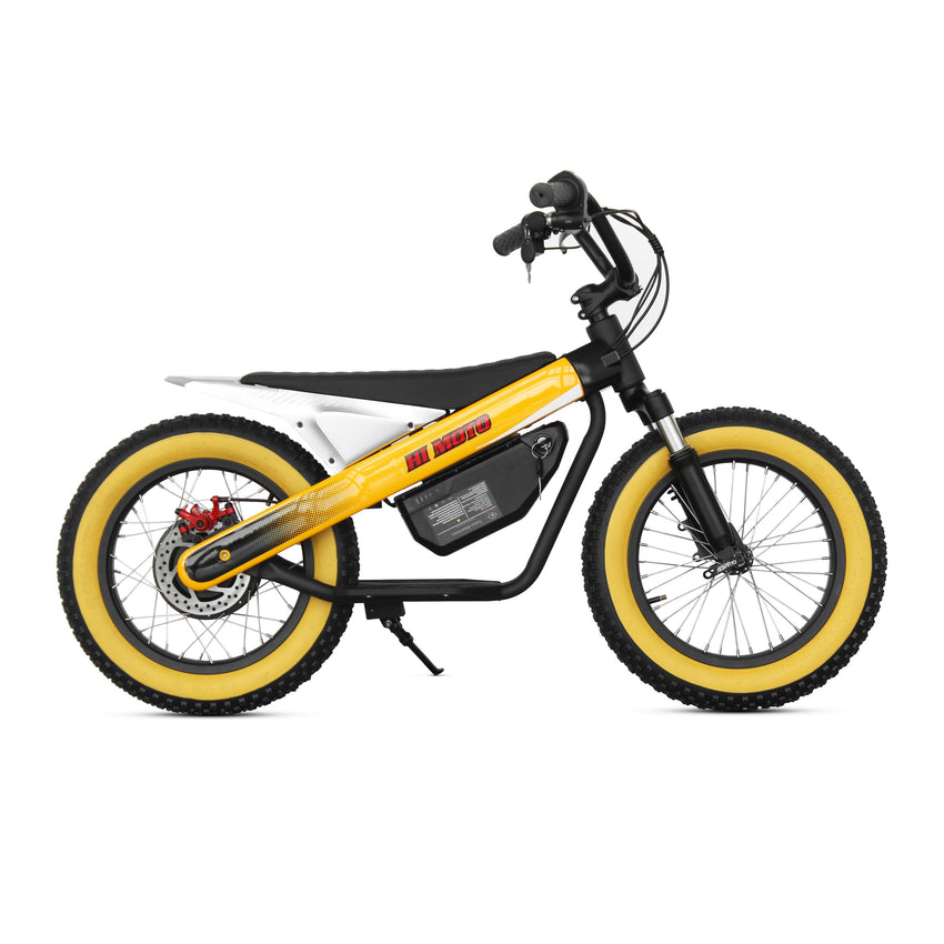 ET-03 800W 36V 15AH Battery Citycoco Electric Scooter 2 Wheel