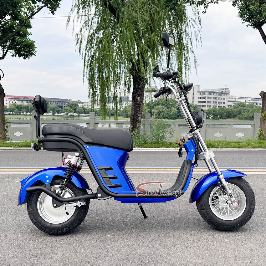 X21-E Strollwheel Citycoco Mini Chopper Scooter 2000W Motor 60V for Brazil Market