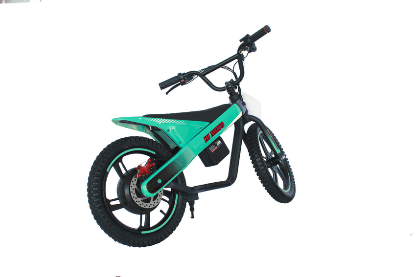 ET-01 Max 300W 24V 6AH Battery 2 Wheel Citycoco Electric Scooter Bicycle