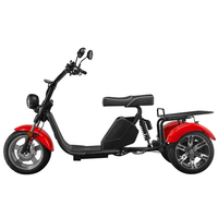 LUQI LQ3.1 1000W 60V 25AH Electric Tricycle Citycoco