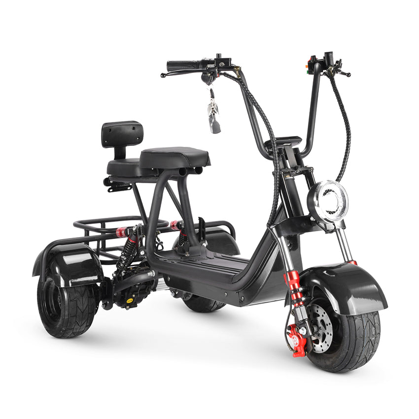MINI-5 800W 48V 12Ah Battery Citycoco Scooter 3 Wheel Motorcycle