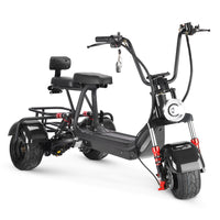 MINI-5 800W 48V 12Ah Battery Citycoco Scooter 3 Wheel Motorcycle