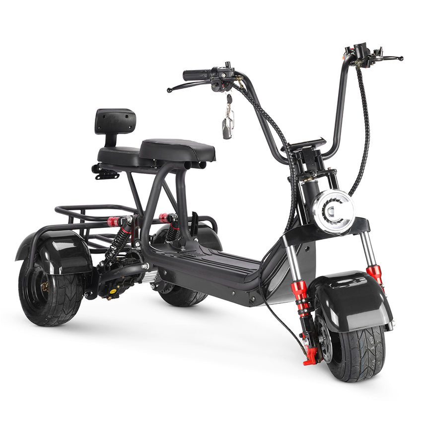 MINI-5 800W 48V 12Ah Battery Citycoco Scooter 3 Wheel Motorcycle