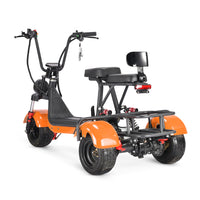 MINI-5 800W 48V 12Ah Battery Citycoco Scooter 3 Wheel Motorcycle
