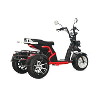 CP-9 2000W 60V 20AH 3 Wheel Electric Tricycle Citycoco