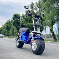 X21-E Strollwheel Citycoco Mini Chopper Scooter 2000W Motor 60V for Brazil Market