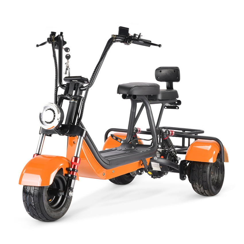MINI-5 800W 48V 12Ah Battery Citycoco Scooter 3 Wheel Motorcycle