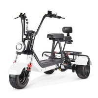 MINI-5 800W 48V 12Ah Battery Citycoco Scooter 3 Wheel Motorcycle