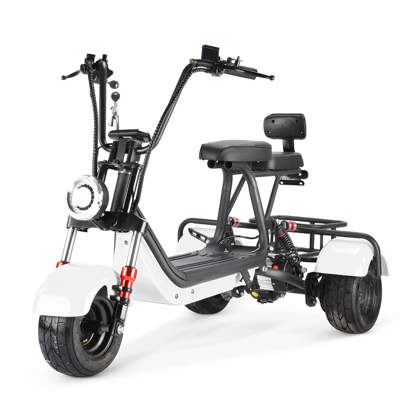 MINI-5 800W 48V 12Ah Battery Citycoco Scooter 3 Wheel Motorcycle