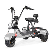 MINI-5 800W 48V 12Ah Battery Citycoco Scooter 3 Wheel Motorcycle