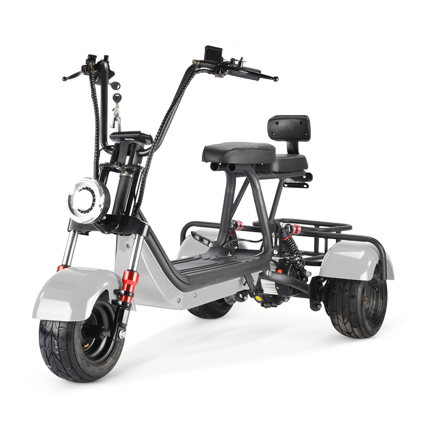 MINI-5 800W 48V 12Ah Battery Citycoco Scooter 3 Wheel Motorcycle