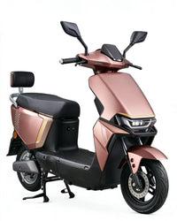 B02 Brazil Motorcycle 1000/2000W Electric Citycoco Wheelbase Less Than 1.3m Scooter Big Seat