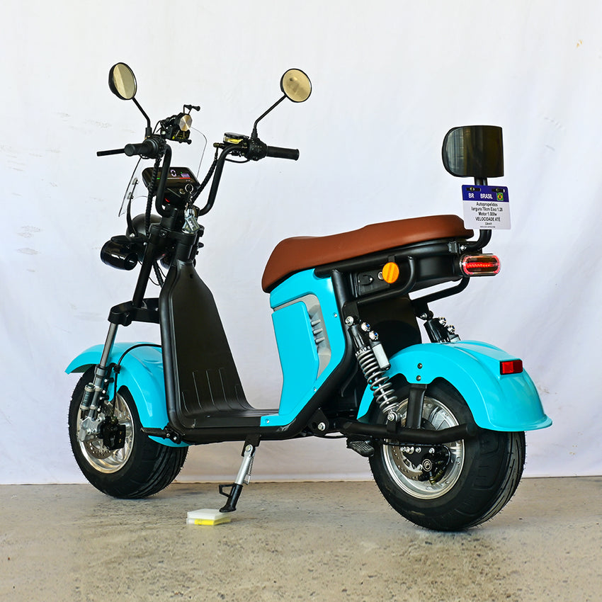 M15 SHANSU Electric Scooter 1000W Brazil Citycoco 32KM/H Speed