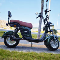M20 Brazil Electric Motorcycle Scooter Citycoco 1000W Adult Long Range Electric Motorcycle