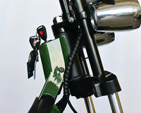 M20 Brazil Electric Motorcycle Scooter Citycoco 1000W Adult Long Range Electric Motorcycle