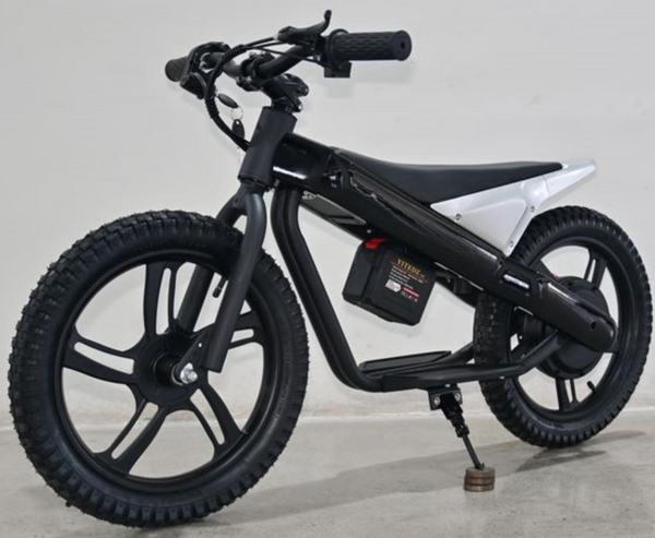 EU Warehouse ET-01 Electric Bike Bicycle 300W 24V 6A Battery E-Bike for Adult Use