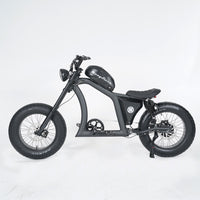 USA Warehouse FT-02 1500W 48V 30Ah Electric City Road Bike Fat Tire Ebike