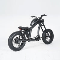 USA Warehouse FT-02 1500W 48V 30Ah Electric City Road Bike Fat Tire Ebike