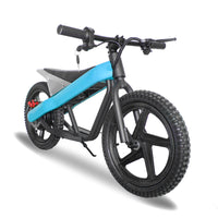 ET-01 300W 24V 6AH Strollwheel Electric 16 Inch Two Wheel Bike