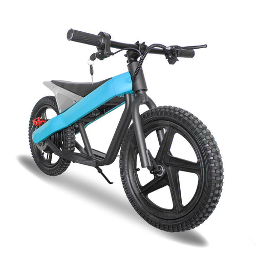 ET-01 300W 24V 6AH Strollwheel Electric 16 Inch Two Wheel Bike