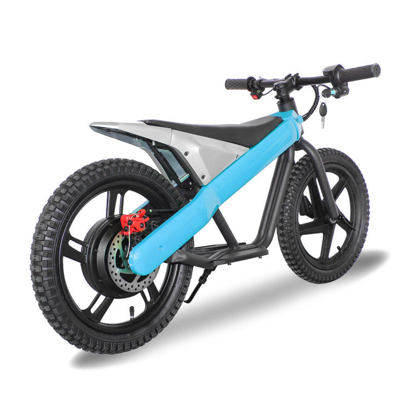 ET-01 300W 24V 6AH Strollwheel Electric 16 Inch Two Wheel Bike