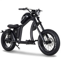 FT02 EEC Electric Bike 1000W 48V 22.5Ah Battery 45KM/H COC