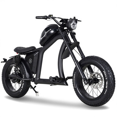 FT02 EEC Electric Bike 1000W 48V 22.5Ah Battery 45KM/H COC