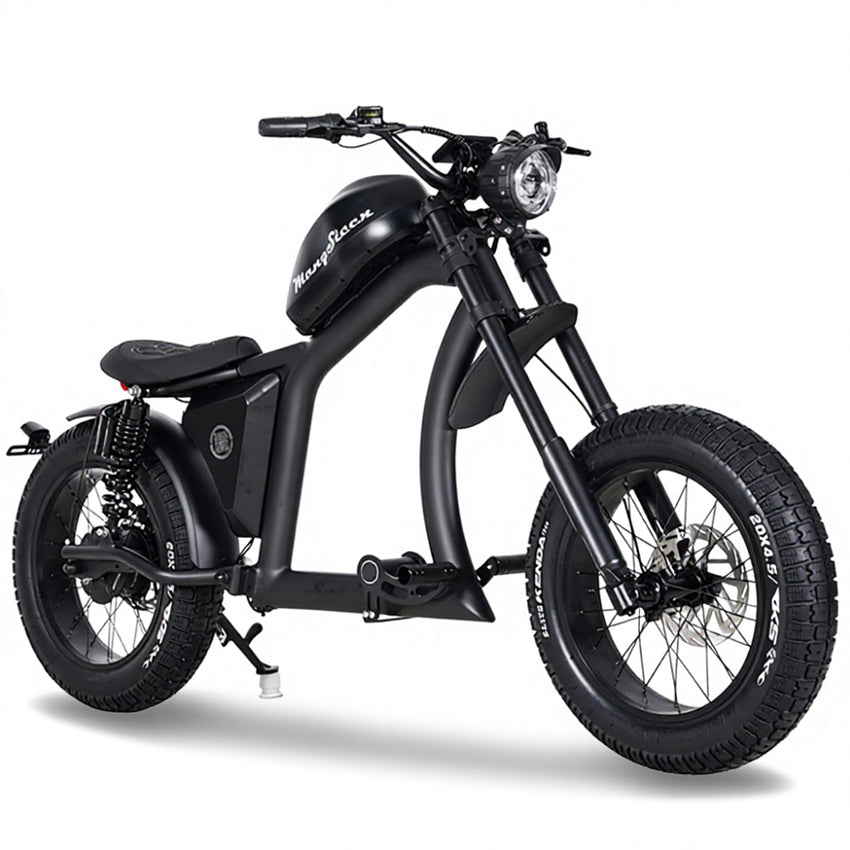 FT02 EEC Electric Bike 1000W 48V 22.5Ah Battery 45KM/H COC