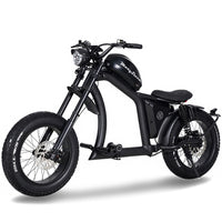 FT02 EEC Electric Bike 1000W 48V 22.5Ah Battery 45KM/H COC