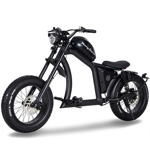 FT02 EEC Electric Bike 1000W 48V 22.5Ah Battery 45KM/H COC
