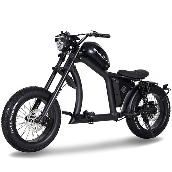 FT02 EEC Electric Bike 1000W 48V 22.5Ah Battery 45KM/H COC