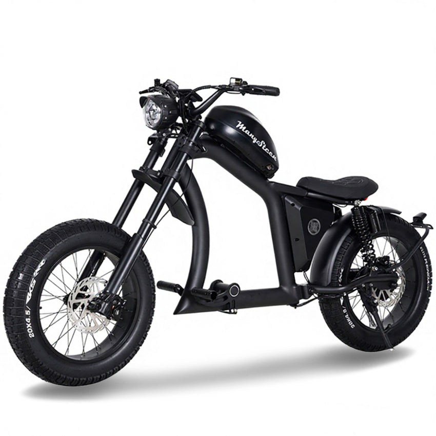 FT02 EEC Electric Bike 1000W 48V 22.5Ah Battery 45KM/H COC