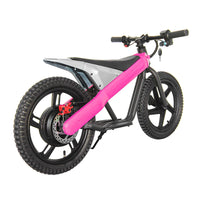 ET-01 300W 24V 6AH Strollwheel Electric 16 Inch Two Wheel Bike