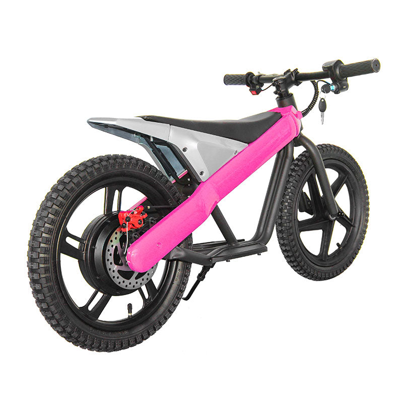 ET-01 300W 24V 6AH Strollwheel Electric 16 Inch Two Wheel Bike