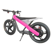 ET-01 300W 24V 6AH Strollwheel Electric 16 Inch Two Wheel Bike